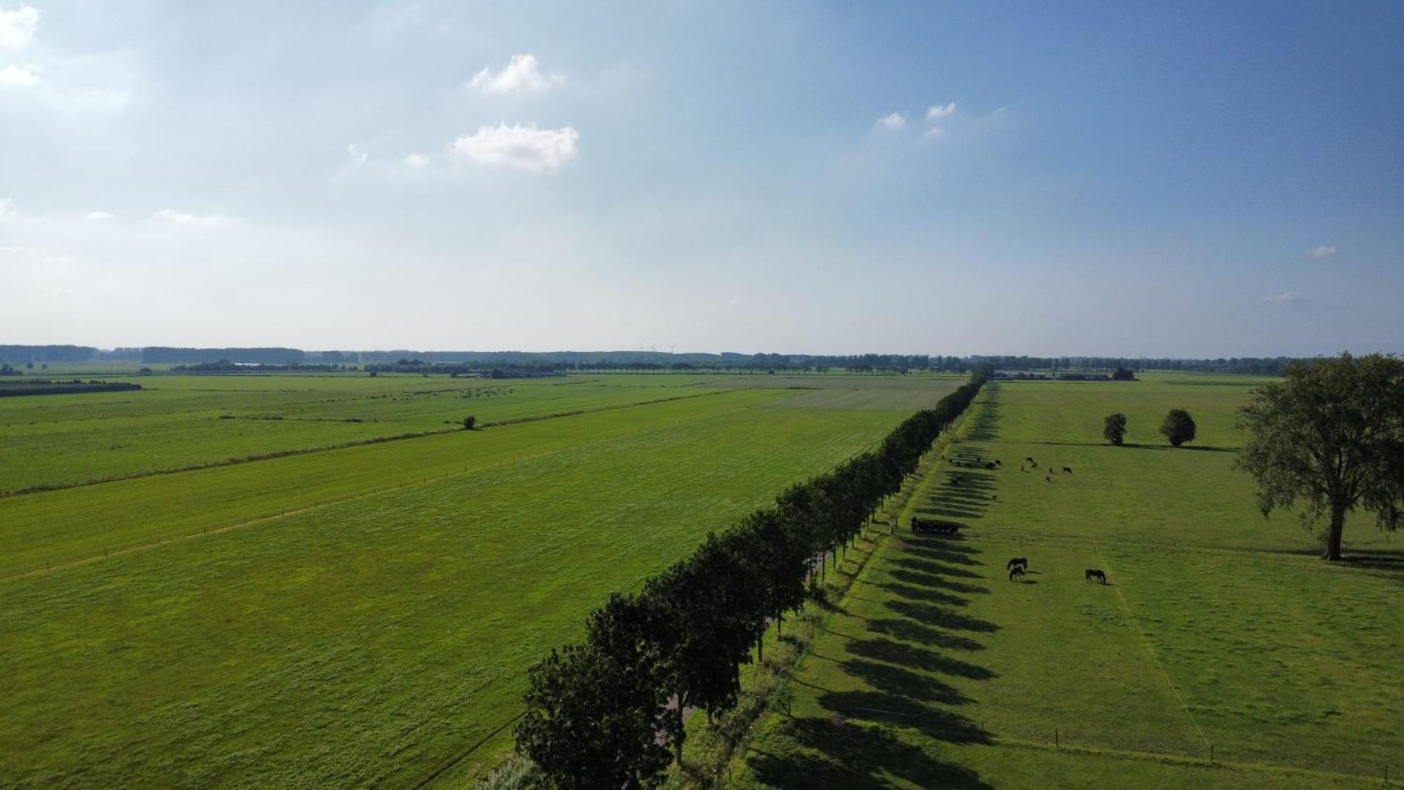 Landelijke Huis In De Betuwe Tricht Eksteriør bilde